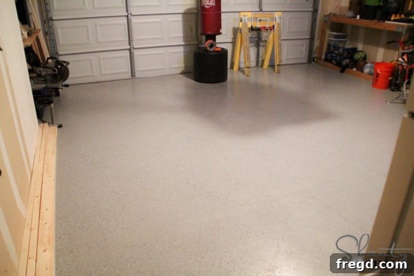featured 11441