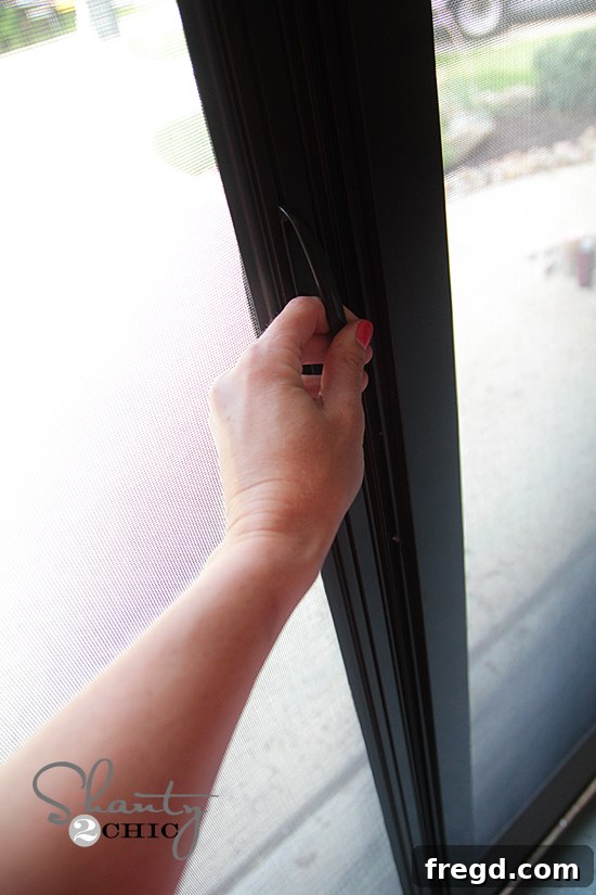 Screen Door