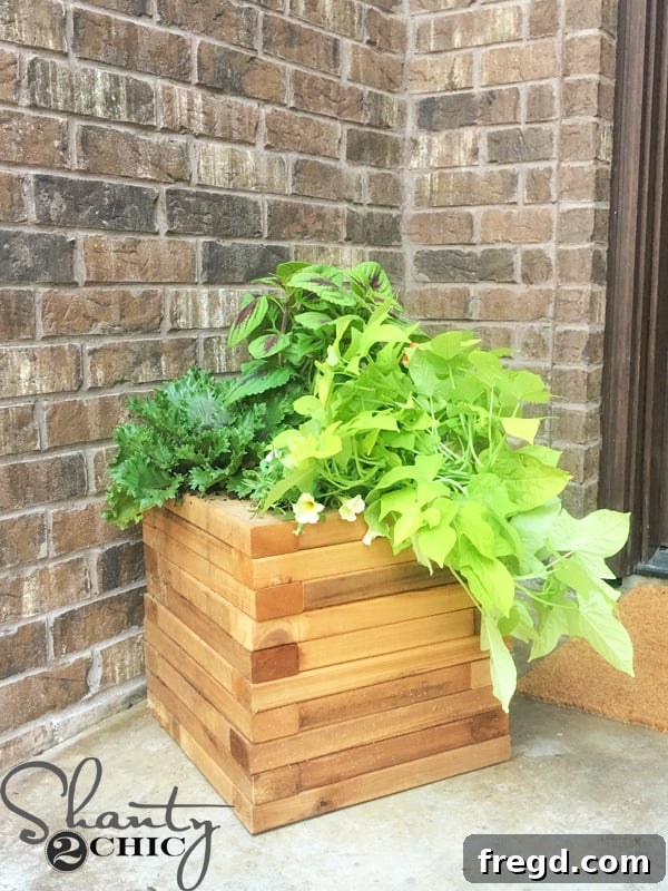 Build a Beautiful Cedar Planter for Under $25: A Complete DIY Guide 2 Stunning DIY Cedar Planter for Fall Porch Decoration