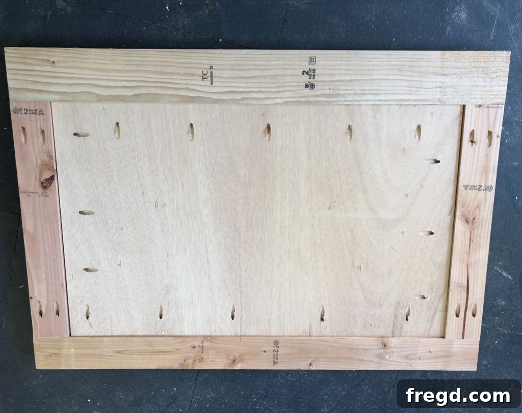 Fully assembled back frame of the dog crate, showing the plywood attached within the wooden structure