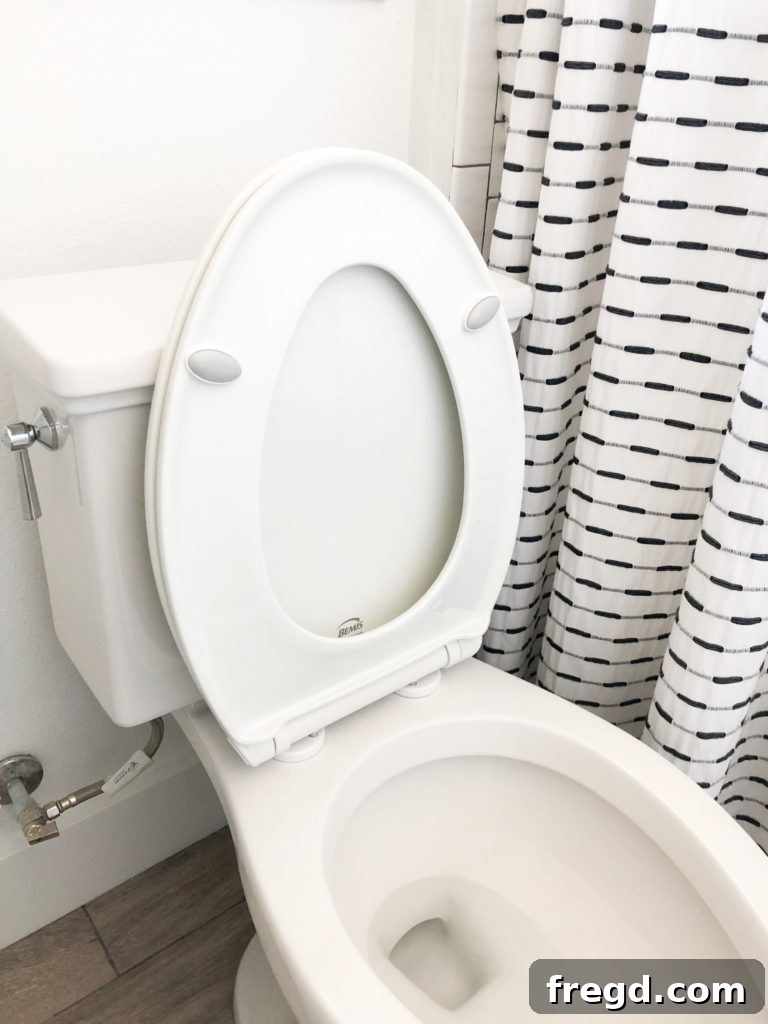 Opening toilet lid and ring for removal