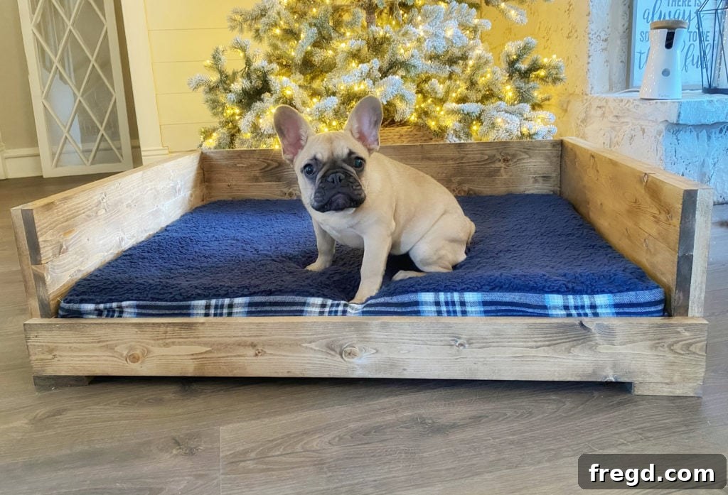 Homemade Canine Comfort 12 A beautifully finished DIY wooden dog bed with a soft, cozy mattress nestled inside, looking inviting for a pet