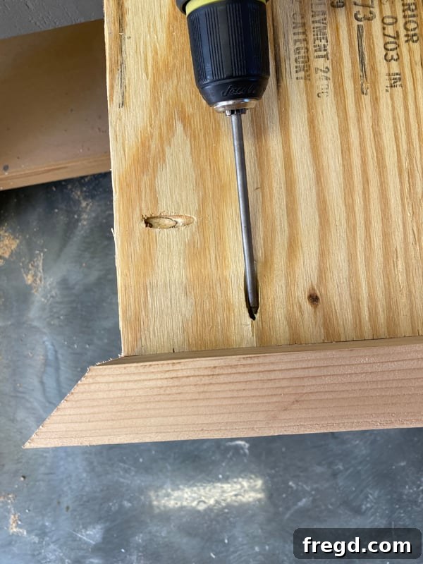 Bottom base plywood prepared with pocket holes around the edges.