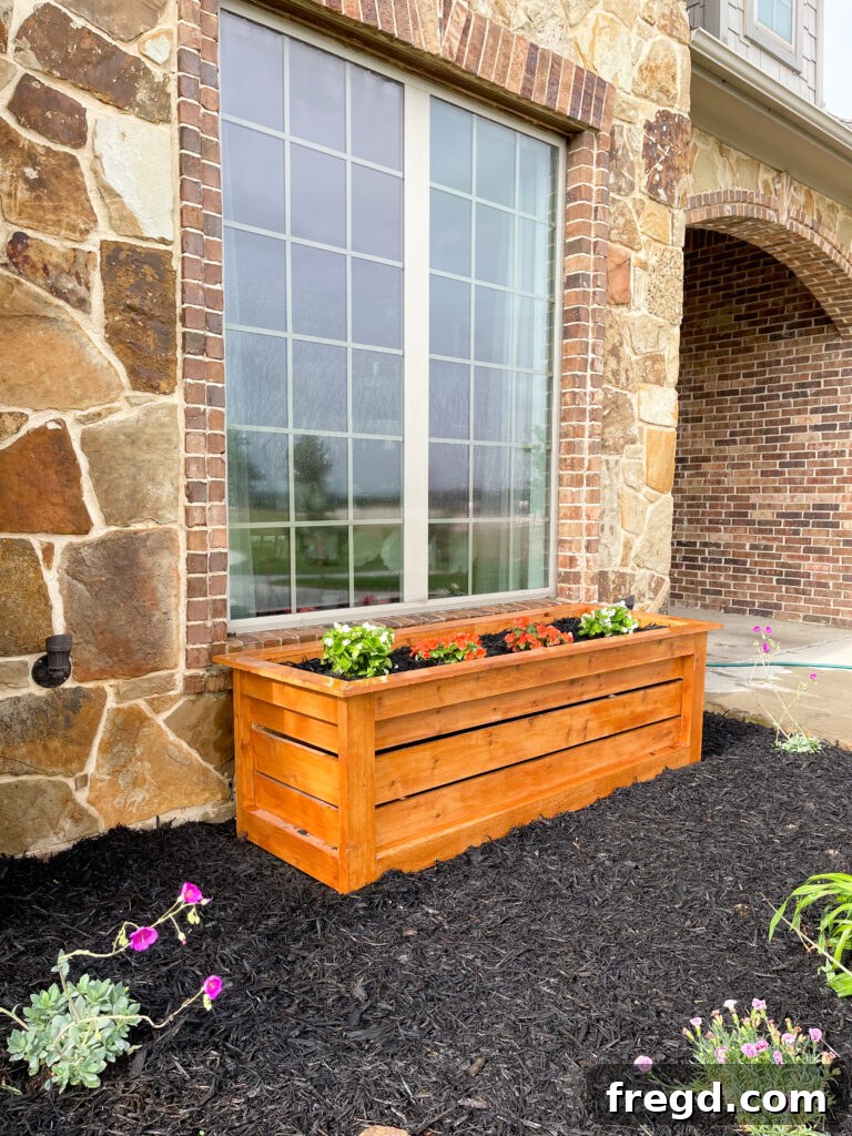 Close-up of plants in a DIY cedar planter box