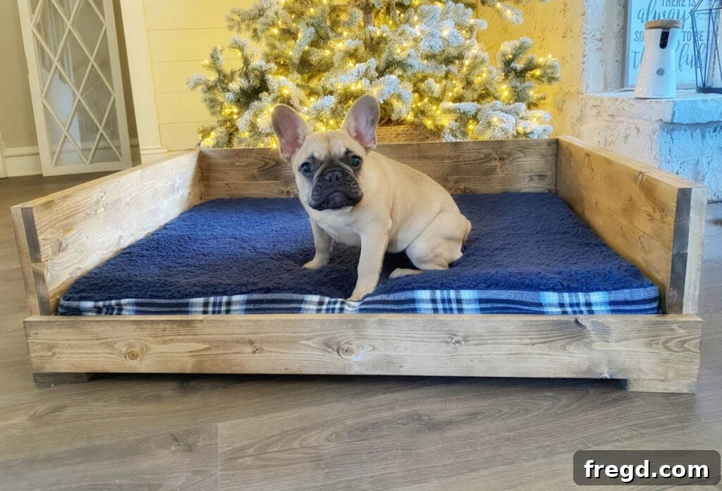 Another DIY dog bed project example