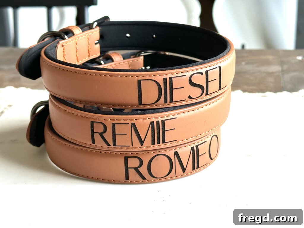 Leather dog collars with custom laser-engraved names and designs, perfect for pet owners.