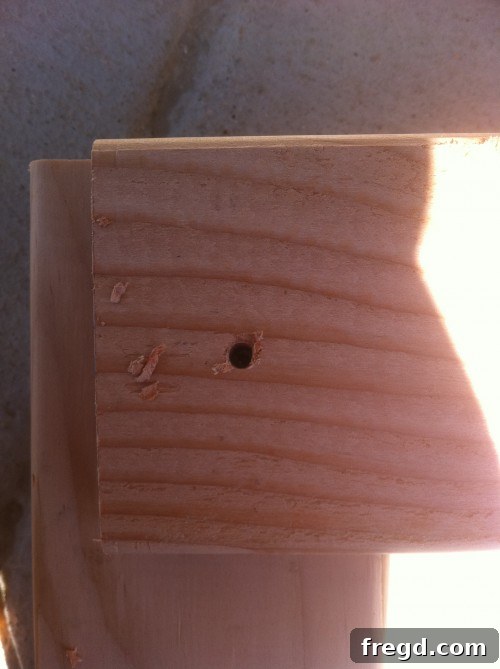 Pre-drilling wood Pre-drilling screw holes in wood to prevent splitting