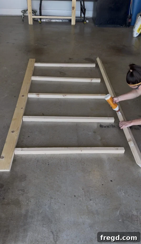 img 43482 4